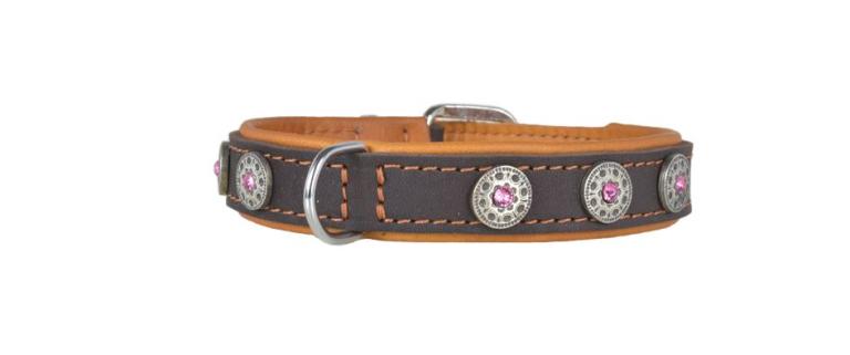 Hundehalsband leder schmuckhalsband